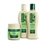 Kit-Jaborandi-250ml